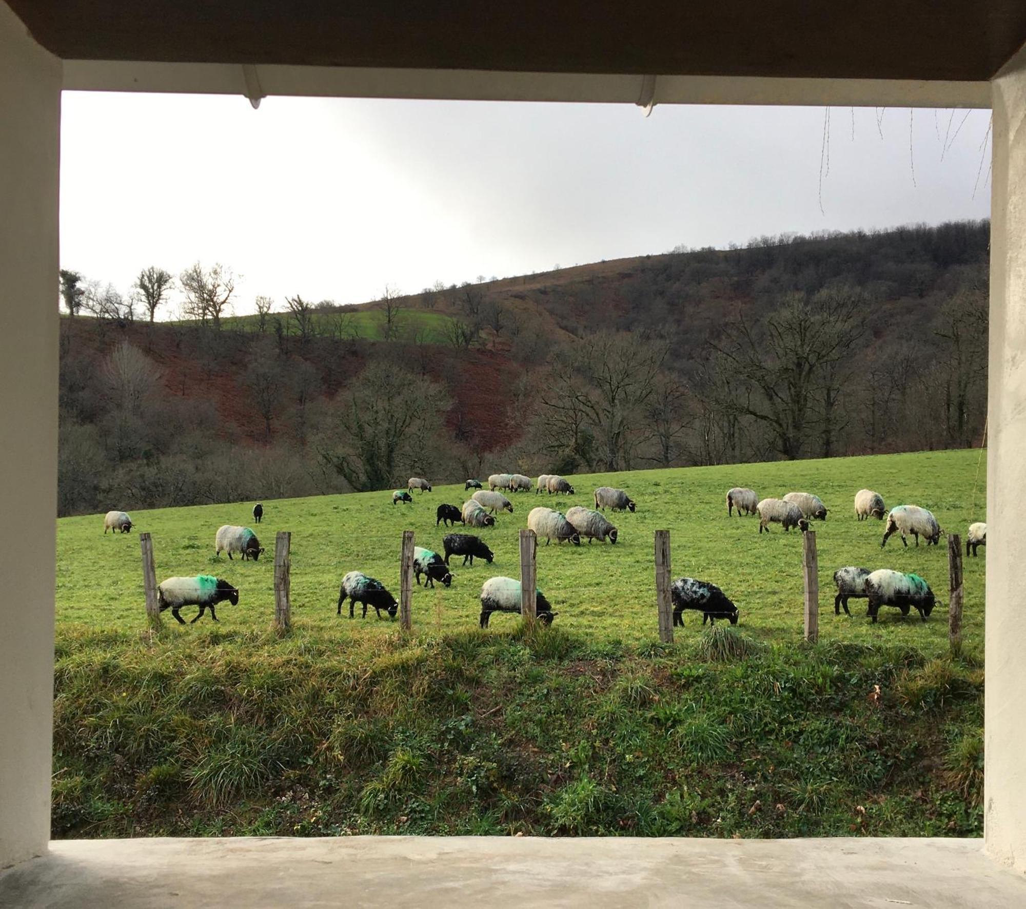 La Grange D'Etxexuria Appartement Lantabat Buitenkant foto