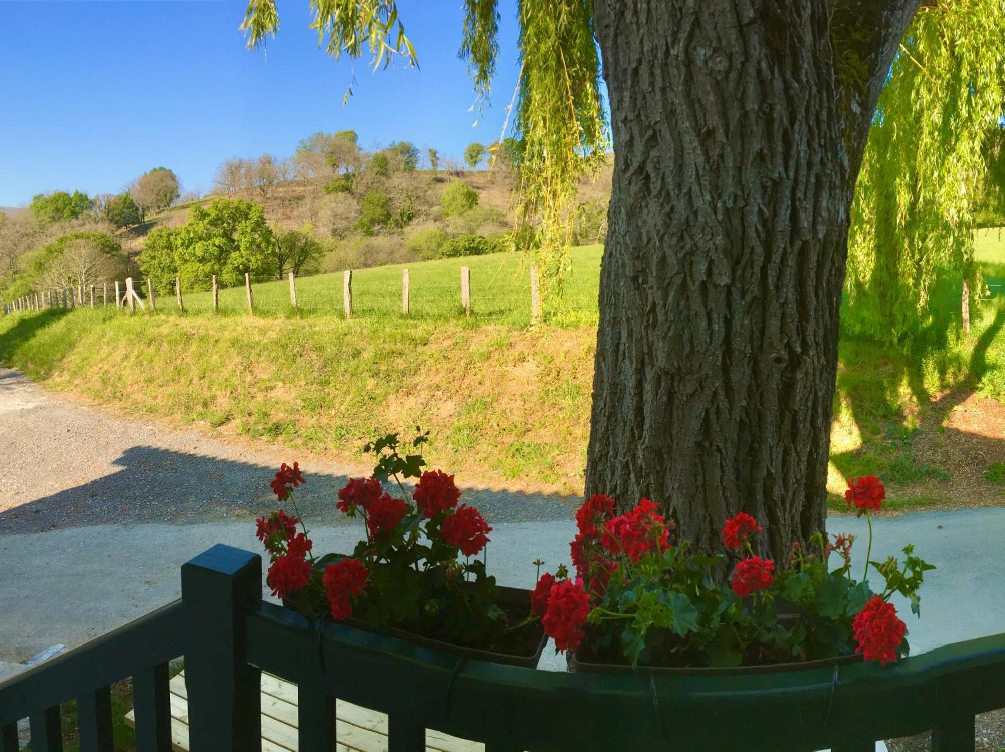 La Grange D'Etxexuria Appartement Lantabat Buitenkant foto